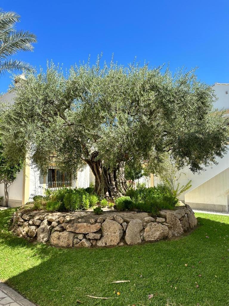 Casa De Emilia Vera Coast Playas de Vera Exterior photo